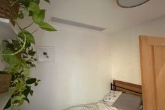 Image-2